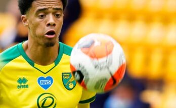 สมัคร ufabet88