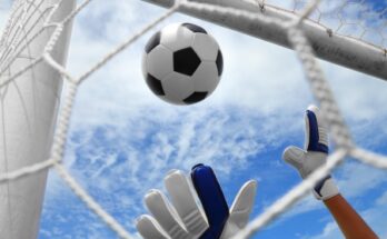 การพนันออนไลน์ มีอะไรบ้าง