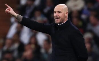 UFABETแทงบอล ออนไลน์